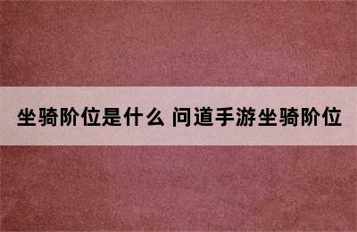 坐骑阶位是什么 问道手游坐骑阶位